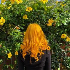 Colorful Hairstyles, Fox Hair, Arctic Fox Hair Color, Arctic Fox, Yellow Hair, Fat Reduction, Orange Hair, Vegetarian Diet, Grunge Hair