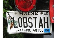 a close up of a license plate on a car's tail light with pine cones