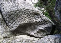 an elephant's head is carved into the rock in this photo, with trees and rocks behind it