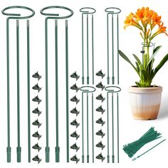 a potted plant next to several metal rods and flowers in them, including one orange flower