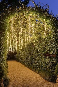 an archway with lights hanging from it's sides and greenery on either side