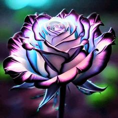 a purple and white rose is shown in this artistic photo with green lights behind it