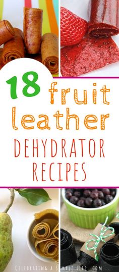 Best Dehydrated Fruit, Dehydrated Fruit Leather Recipe, Mango Dehydrator Recipes, Dehydrator Fruit Leather Recipe, What To Dehydrate, Hydrator Recipes, Dehydrator Recipes Jerky