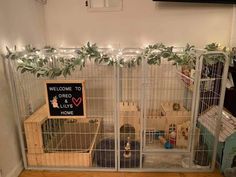 a couple of cages that have some animals in them