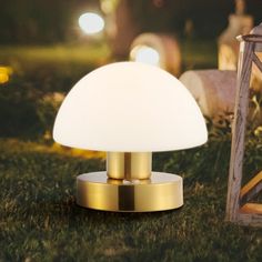 a white lamp sitting on top of a lush green field next to a wooden lantern