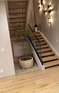 there is a plant on the floor in front of the stairs and lights above it