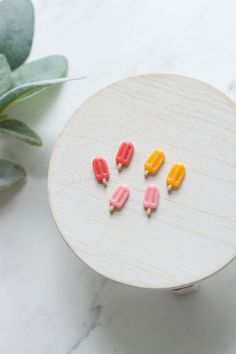 four candy lollipops sitting on top of a white plate next to a succulent plant