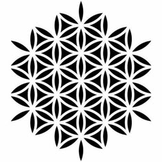 the flower of life symbol is shown in black on a gray background, with an intricate design