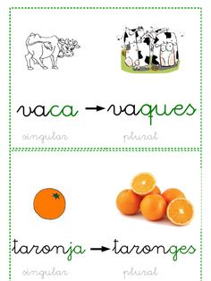 four different types of food are shown in this graphic above it is an image of oranges, tangerines, and cows