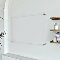 a white wall with some shelves on it and a potted plant in the corner