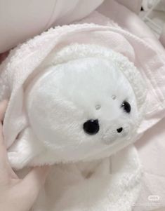 a white teddy bear wrapped in a blanket