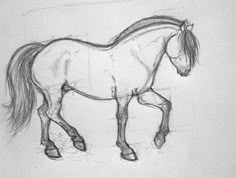 a pencil drawing of a horse on a white paper