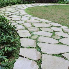 a stone path in the middle of a garden