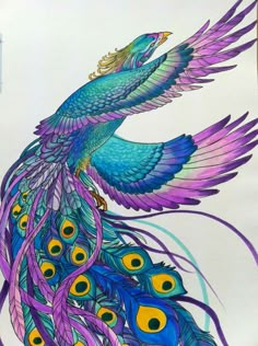 a drawing of a peacock with purple feathers