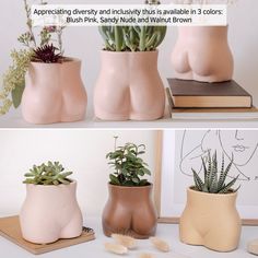 three different vases with plants in them