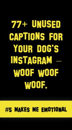 a black and yellow poster with the words 75 + unusual captions for your dog's instagram woof woof