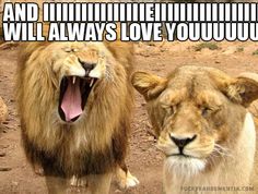 two lions standing next to each other with the caption that says, and until the uninhieldness will always love you uu