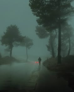 a person walking down a road in the rain with trees on either side of them