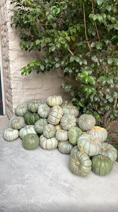 a pile of pumpkins sitting next to a bush