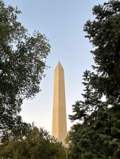 the washington monument is seen through some trees