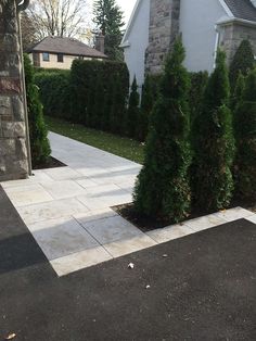 an empty driveway in front of a house with trees and shrubs around the walkway area