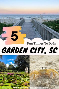 the top five things to do in garden city, sc