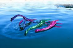 three colorful objects floating in the water near each other with their tails sticking out from them