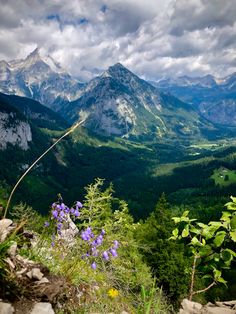 the mountains are covered in green and blue flowers with clouds above them, as well as wildflowers