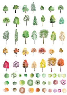 an image of trees drawn in watercolor on white paper with different colors and shapes