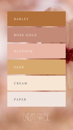 A mood board with six color squares arranged in a grid. The colors are: brown-orange, rose gold, pink, dark beige, beige, and off-white. Each square represents a different shade within a soft autumn wedding palette.