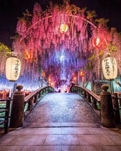 a bridge with lanterns hanging from it's sides and trees in the background at night