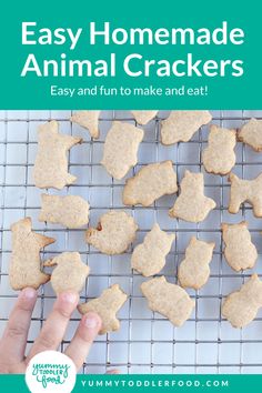 easy homemade animal crackers on a cooling rack