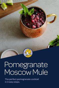 pomegranate moscow mule recipe in 3 easy steps