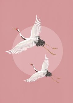 two white cranes flying in the sky with pink background and sun behind them, illustration painting