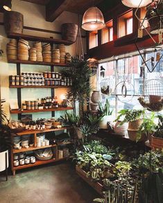 the instagram page shows an image of plants and other items on shelves in a store