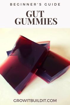 the beginner's guide to gut gummies by growbuilt com