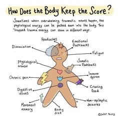 Polyvagal Theory, Counseling Activities, The Score