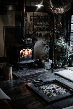 a wood burning stove in a dark room with potted plants on the floor and other items