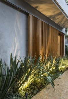 plants are growing on the side of a building next to a sidewalk and walkway area