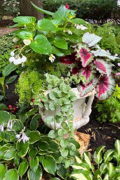 an arrangement of flowers and plants in a garden