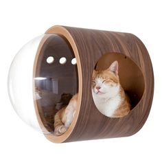 an orange and white cat laying in a wooden pet house with its head inside the hole