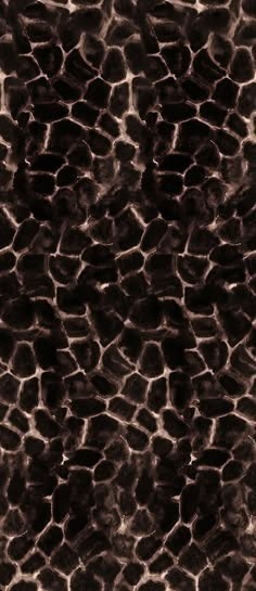 an animal print pattern is shown in black and white