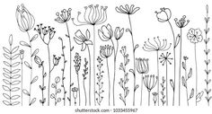 black and white line drawing of flowers on a white background, hand drawn in ink