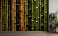 the wall is made up of many different types of bamboos and has a plant in front of it