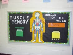 a bulletin board with the words muscle memory on it