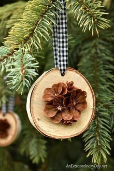 an ornament hanging from a christmas tree with pine cones on it's side