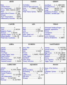 a table with the names and numbers of different types of items in each column, including two