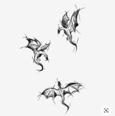 three bats flying in the air with their wings spread out and one is upside down