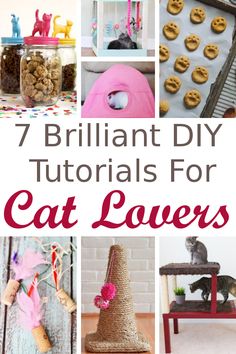 7 brilliant diy projects for cat lovers that are easy and fun to do with the kids