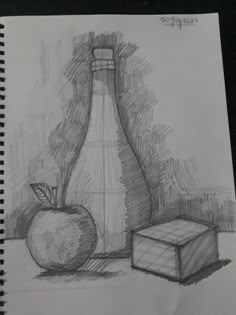 a pencil drawing of an apple and a vase with a plant in it next to a box